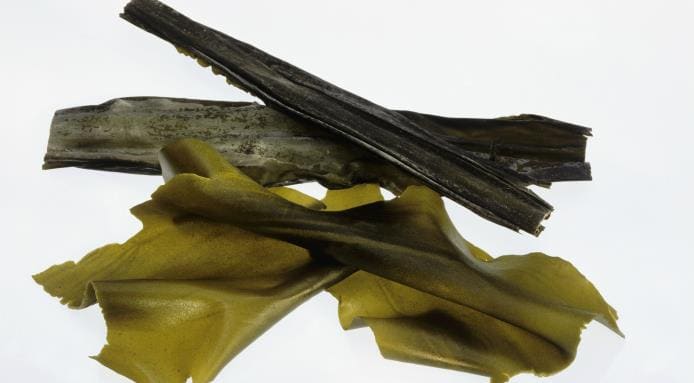 l_12570_StockFood-kombu-seaweed.jpg