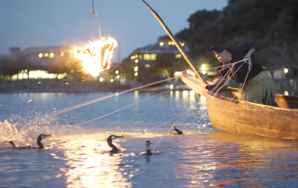 Cormorant fishing in Gifu prefecture