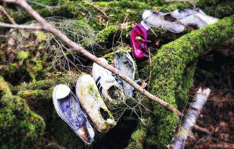 15 facts about the japanese suicide forest