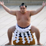 Yokozuna sumo