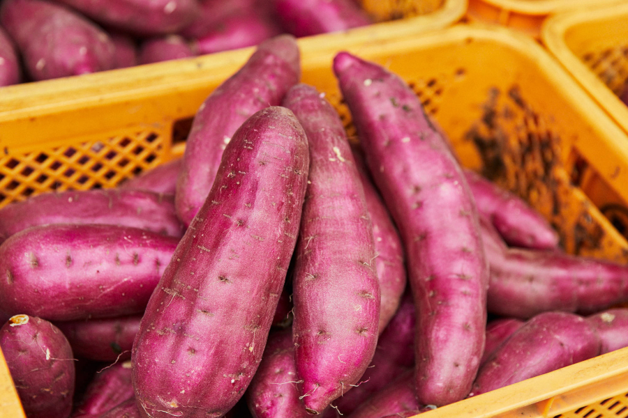 Baked Sweet Potato japan
