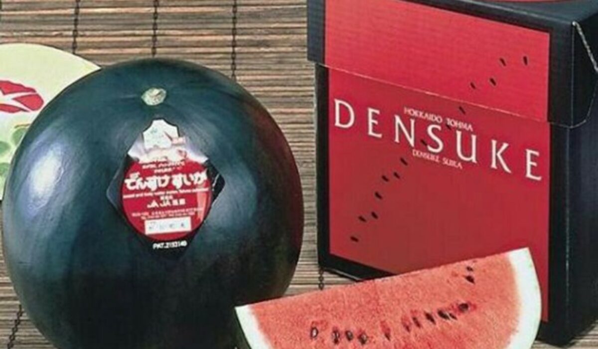 Densuke Watermelon 2