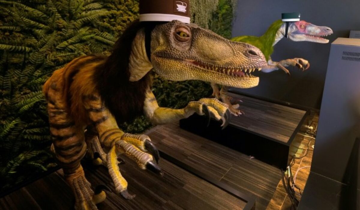 Japan’s Robot Hotel