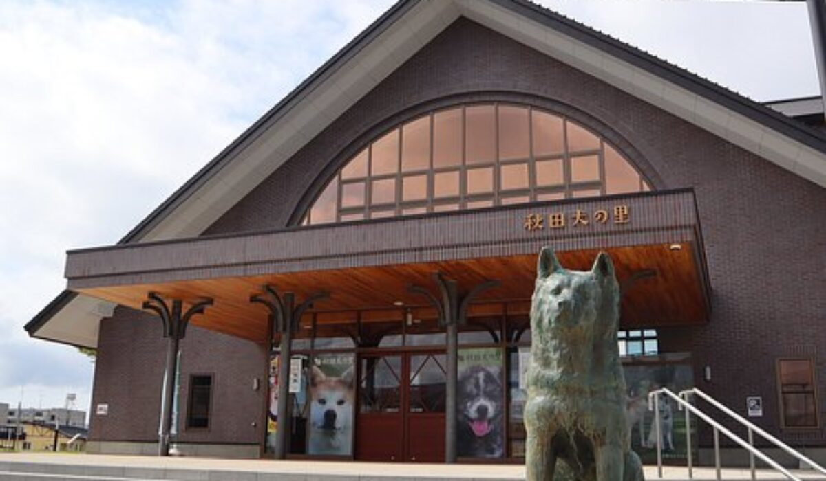 Akita Inu Museum in Odate City