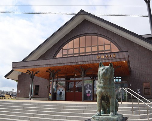Akita Inu Museum in Odate City
